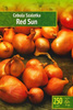 Cebula Szalotka 'Red Sun' – Dymka 250 g