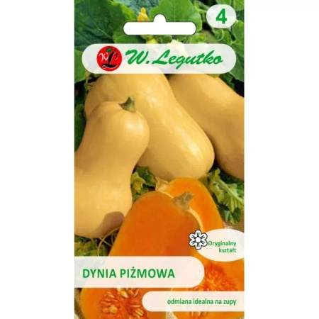 Dynia Piżmowa 'Butternut' – 2 g Legutko 