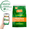 Nasiona trawy – Trawnik odporny na psa – 4 kg Vegano