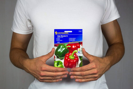 Papryka Blokowa 'Yolo Wonder' – Kiepenkerl