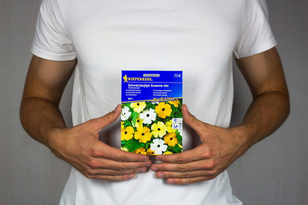 Tunbergia Oskrzydlona – Mix Nasion – Kiepenkerl