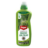 Płynny Nawóz Do Draceny Juki i Palm – Zdrowe Rośliny – 500 ml Target