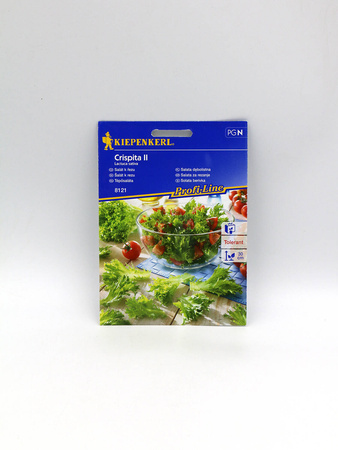 Sałata Dębolistna 'Crispita II' – Kiepenkerl