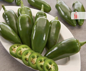 Papryka Jalapeño 'Camargo' – Kiepenkerl