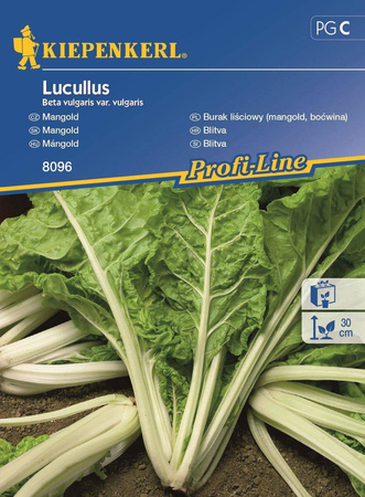 Burak liściowy 'Lucullus' – Boćwina – Kiepenkerl