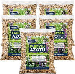 Mieszanka poplonowa Vegano Fabryka Azotu - 5 kg - do 350 m²