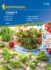 Sałata Dębolistna 'Crispita II' – Kiepenkerl