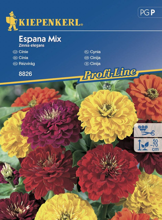 Cynia 'Espana' – Mix – Kiepenkerl