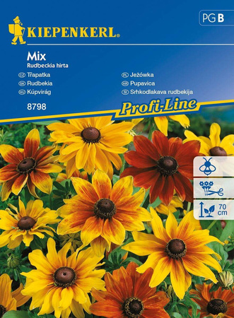 Rudbekia Owłosiona – Mix Nasion – Kiepenkerl