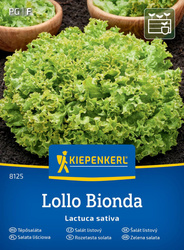 Sałata liściowa Lollo Bionda Kiepenkerl