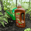 Ekopomidor – ekologiczny nawóz do pomidorów w gruncie i szklarni 3 x 1 l Vegano