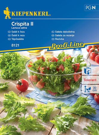 Sałata Dębolistna 'Crispita II' – Kiepenkerl