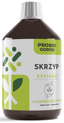 Skrzyp ekstrakt wzmacniający odporność na choroby grzybowe – 500 ml Agrobios