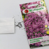  Macierzanka Piaskowa – Legutko