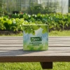 Dobroczynek swirski – drapieżne roztocze na wciornastki i mączliki 10 szt. – Vegano