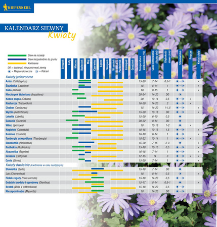 Rudbekia Owłosiona – Mix Nasion – Kiepenkerl