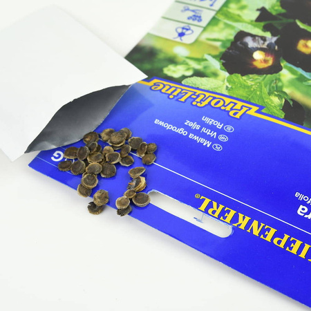 Malwa Ogrodowa 'Nigra' – Kiepenkerl