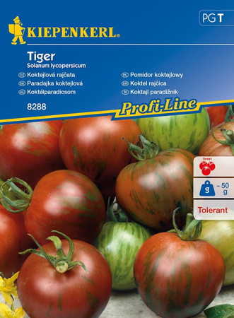 Pomidor 'Tiger' – Koktajlowy – Kiepenkerl