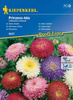 Aster Chiński 'Prinzess' – Mix Nasion – Kiepenkerl