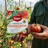 Nawóz do pomidorów i ogórków z mikroelementami – 1 kg Target