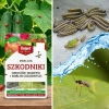 NeemAzal na ziemióki, mączliki, mszyce, stonkę i gąsienice – 25 ml Target