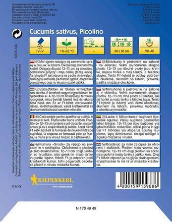 Ogórek 'Picolino' F1 – Odporny – Kiepenkerl