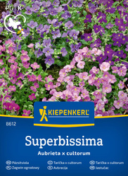 Żagwin ogrodowy Superbissima Kiepenkerl