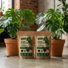 Żywe podłoże do monstery, filodendronów i roślin tropikalnych z dodatkiem Wermihumusu Vegano - 10 l (2 x 5 l)