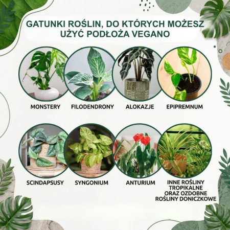 Żywe podłoże do monstery, filodendronów i roślin tropikalnych z dodatkiem Wermihumusu Vegano - 10 l (2 x 5 l)