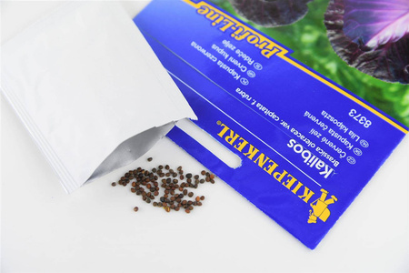 Kapusta Czerwona 'Kalibos' – Szpiczasta – Kiepenkerl