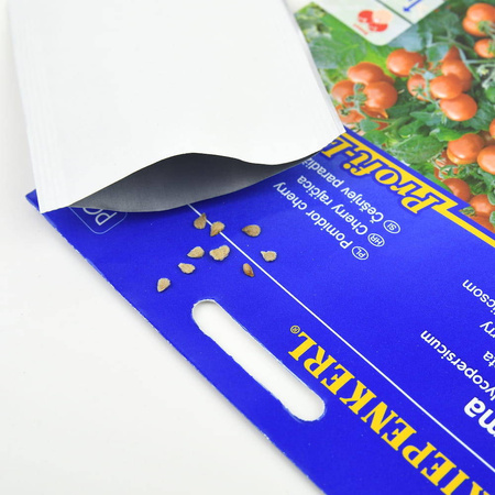 Pomidor Cherry 'Vilma' – Kiepenkerl