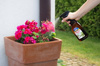 Stymulator wzrostu ze skrzypu polnego (ekstrakt) w sprayu – 500 ml Himal