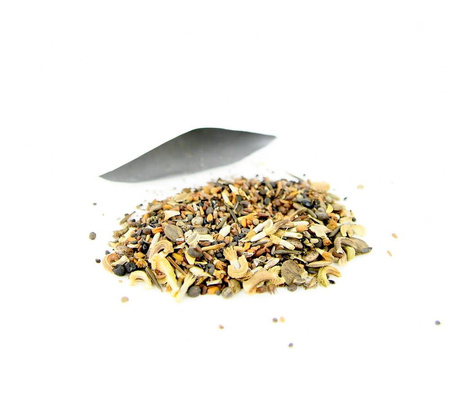 Kwiaty Do Cienia – Mix Nasion – Kiepenkerl