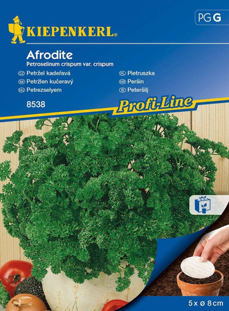 Pietruszka Naciowa 'Afrodite' – Krążki – Kiepenkerl