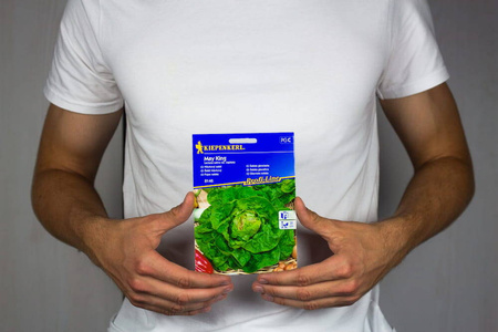 Sałata Głowiasta 'Maikonig' – Kiepenkerl