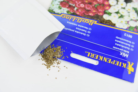 Stokrotka Pospolita – Mix Nasion – Kiepenkerl