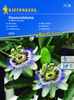 Passiflora Męczennica – Nasiona – Kiepenkerl