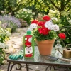 Nawóz do pelargonii i roślin balkonowych wspierający kwitnienie – 1 l Target