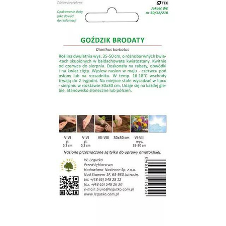 Goździk Brodaty – Mix Kolorów – Legutko