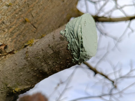 Maść Ogrodnicza 3 x 350 g Target (ZESTAW)