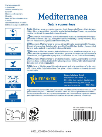 Rozmaryn Lekarski – Intensywny – Kiepenkerl