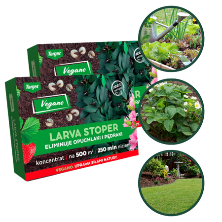 Larva Stoper – pożyteczne nicienie na pędraki i opuchlaki 500 mln nicieni Vegano