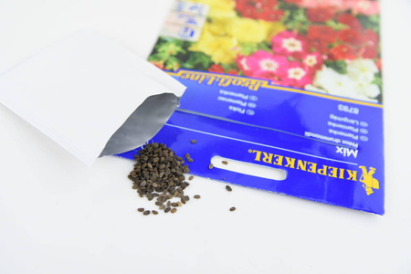 Floks Drymmonda – Mix Nasion – Kiepenkerl