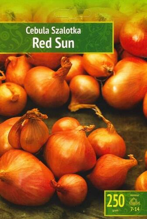 Cebula Szalotka 'Red Sun' – Dymka 250 g