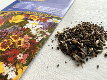 Dzikie Kwiaty Polne – Mix Nasion – Kiepenkerl