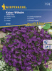 Lobelia przylądkowa 'Kaiser Wilhelm' - Nasiona - Kiepenkerl