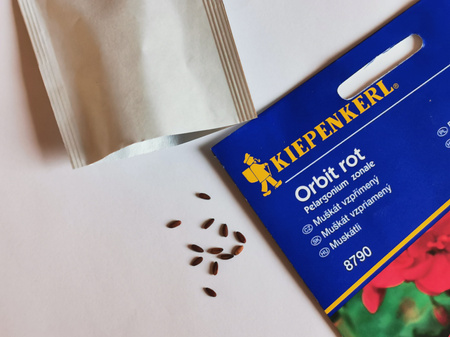 Pelargonia rabatowa 'Orbit rot 'F1 - Nasiona - Kiepenkerl