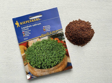 Rzeżucha 'Cressida' – Ogrodowa – Kiepenkerl