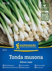 Cebula Siedmiolatka 'Tonda Musona' – Zimowa – Kiepenkerl