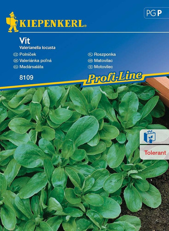 Roszponka 'Vit' – Duże Opakowanie – Kiepenkerl
